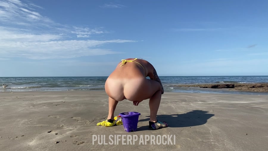 PulsiferPaprocki – Beach Bucket Poop (98.6 MB)